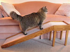 Low Platform Pet Ramp, 12" wide