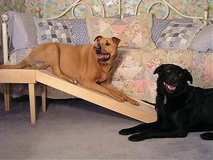 Low Platform Dog Ramp