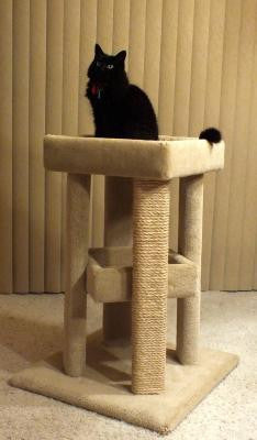 Four Corner Sleeper