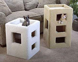Kitty Sleeper Cube