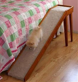 Tall Climber Platform Pet Ramp, 12" wide