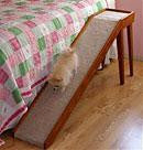 Tall Climber Platform Pet Ramp, 16