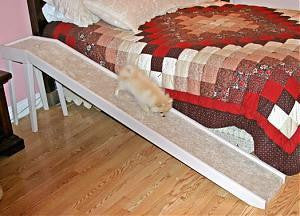 Tall Easy Slope Platform Pet Ramp, 16" wide