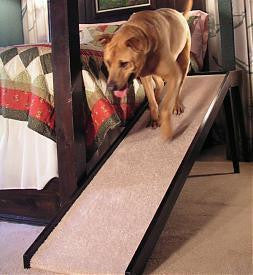 Tall Platform Dog Ramp, 12
