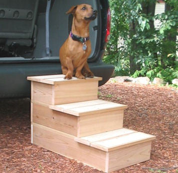 Cedar Steps