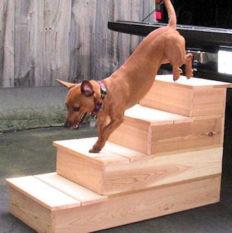 Cedar Steps