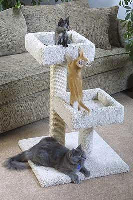 Double Sleeper