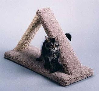 Cat Scratch Triangle