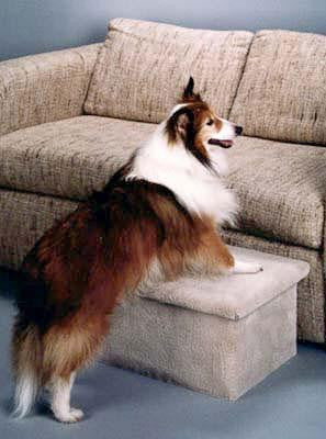 Single Pet Step