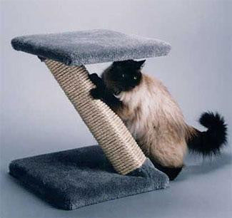 'Z' Scratcher